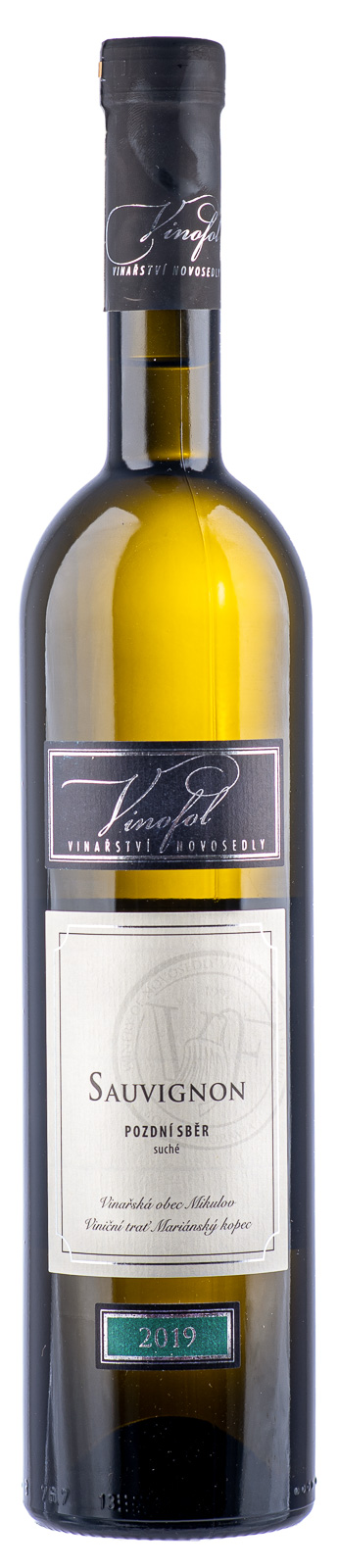 Sauvignon Blanc wino morawskie